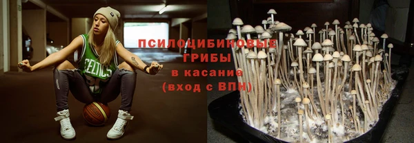mix Гусь-Хрустальный