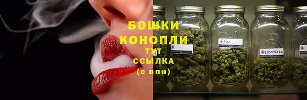 ешки Гусиноозёрск